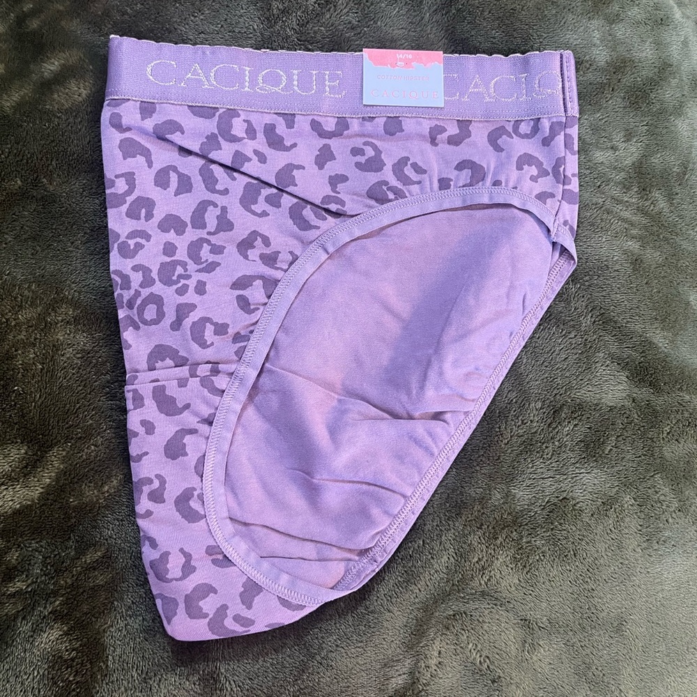 Lane Bryant Cacique cotton hipster panty